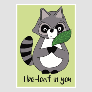 Raccoon - Front Cover